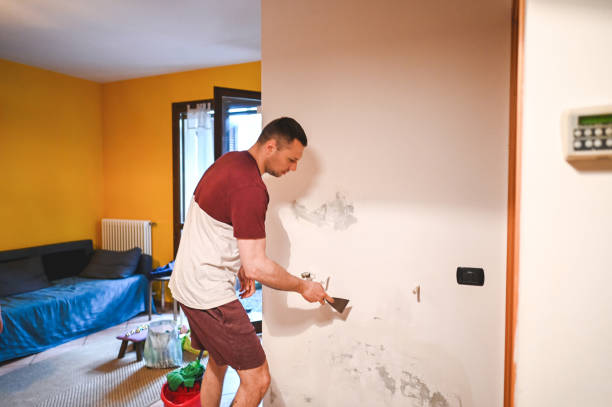 Best Industrial Mold Remediation in Brookdale, NJ